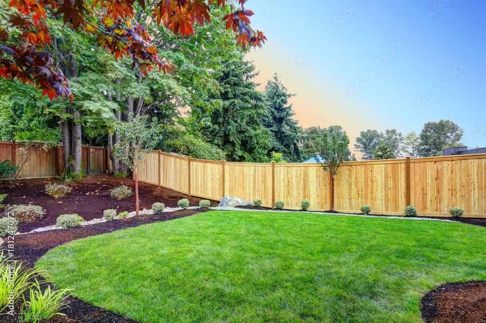 Fence Painting & Staining image