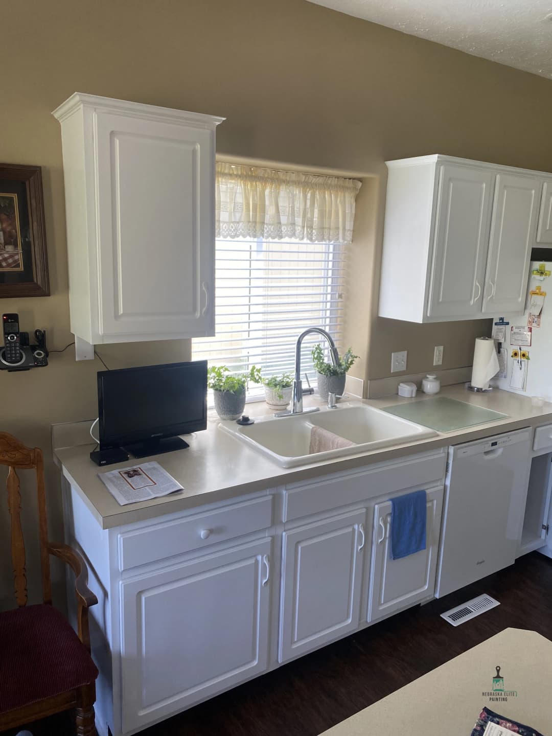 Modern kitchen with white cabinetry, double sink, and potted plants by the window.