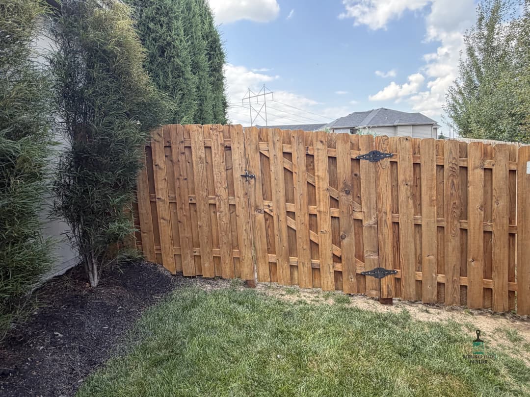 Wooden gate and fence in a grassy backyard with shrubs and blue sky.