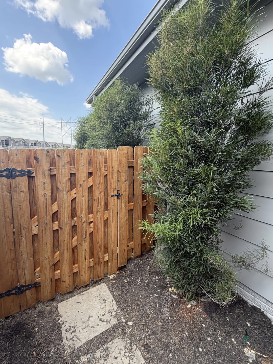Wooden fence with latch beside lush greenery and a building under a blue sky.