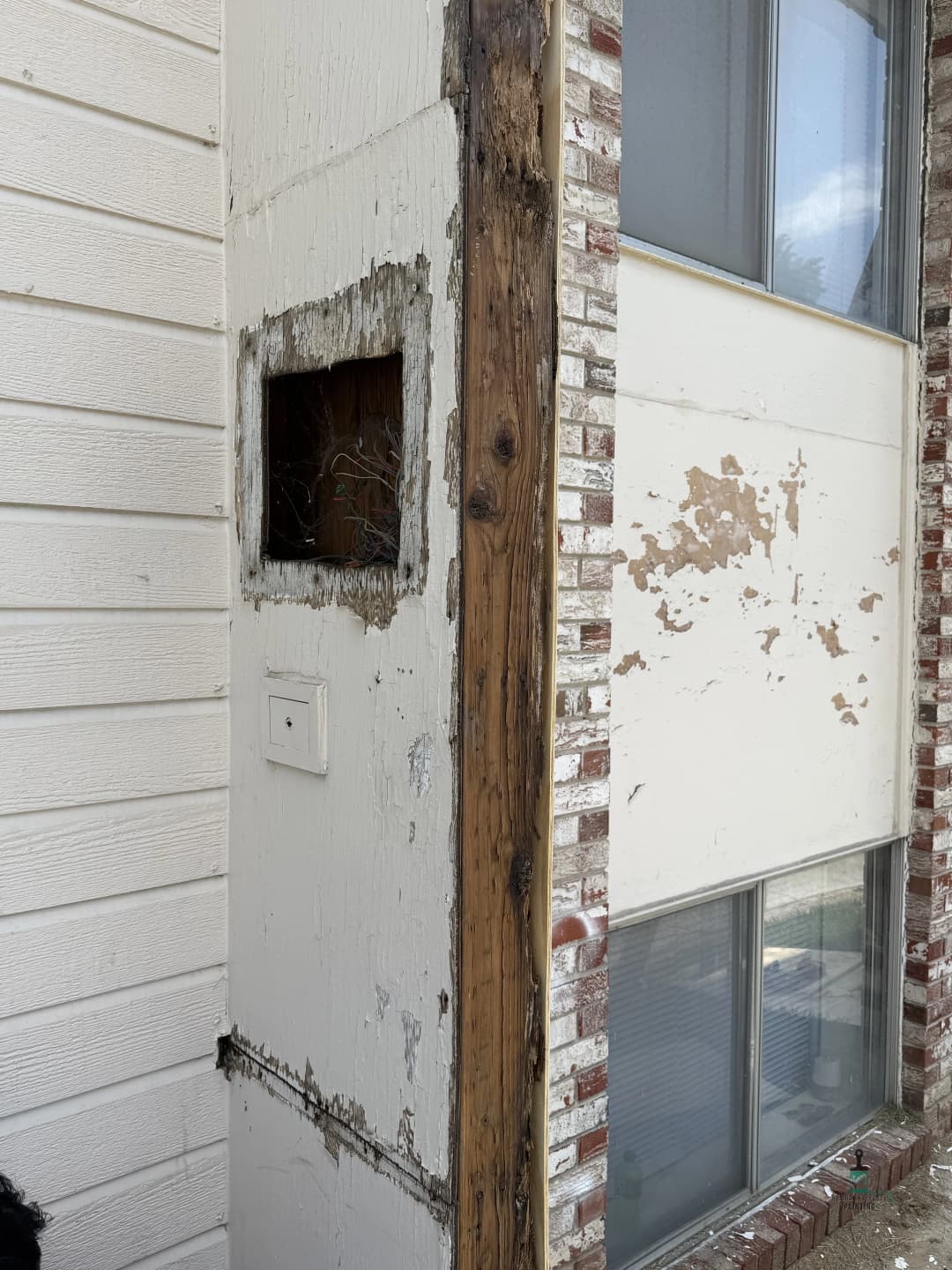 Damaged wall section with exposed wood and missing siding, showing repair need.