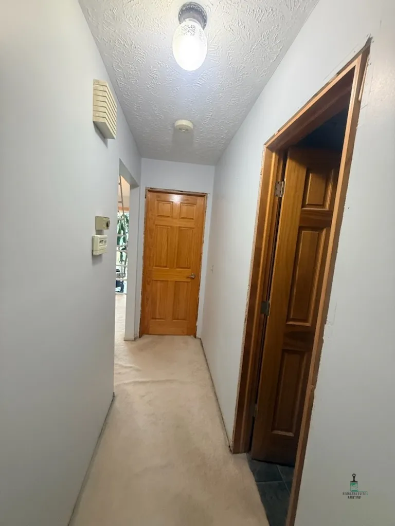 long hallway with beige carpet, wooden doors, and overhead light fixture